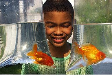 《拳皇15》发布特别动画短片 游戏将于2月17日发售