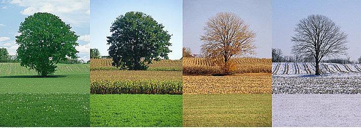 《最后生还者2》复刻版与原版对比视频 改进不太明显